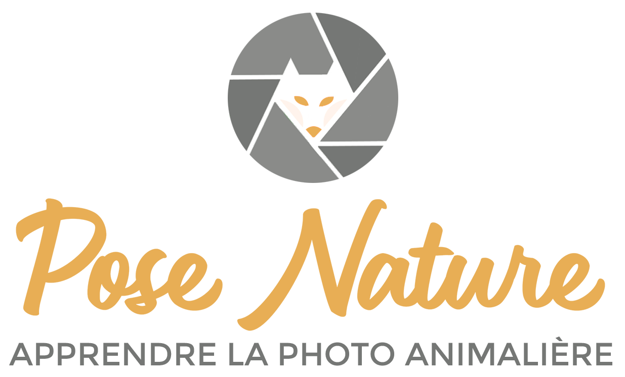 Logo-Pose-Nature-2021